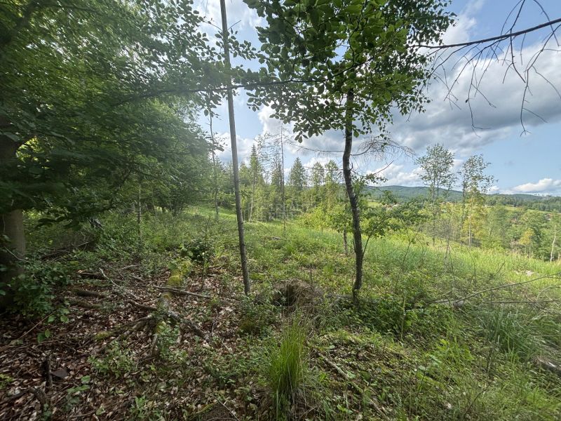 Sale Recreational land, Recreational land, Raková, Čadca, Slovakia