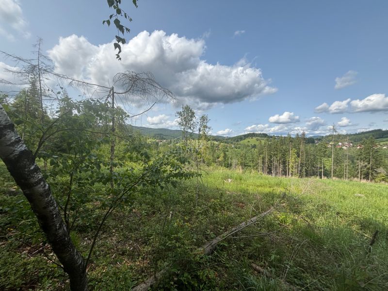 Sale Recreational land, Recreational land, Raková, Čadca, Slovakia