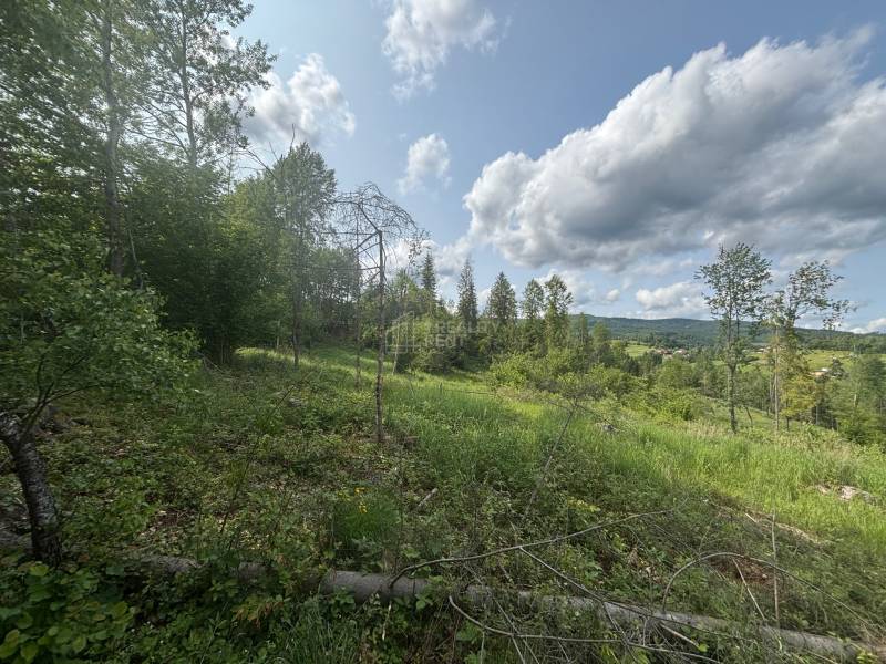 Sale Recreational land, Recreational land, Raková, Čadca, Slovakia