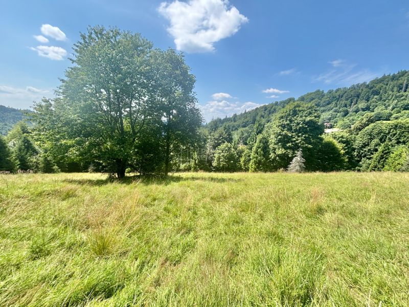 Sale Land – for living, Land – for living, Dedovka, Čadca, Slovakia