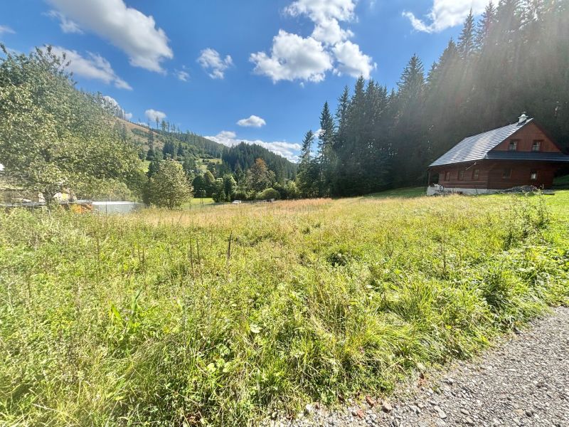Sale Land – for living, Land – for living, Čadca, Slovakia