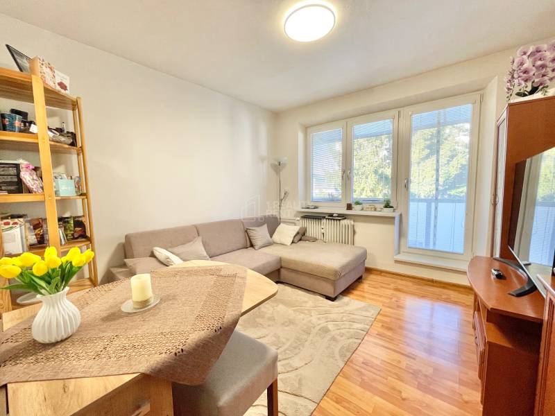Sale One bedroom apartment, One bedroom apartment, Kysucké Nové Mesto,
