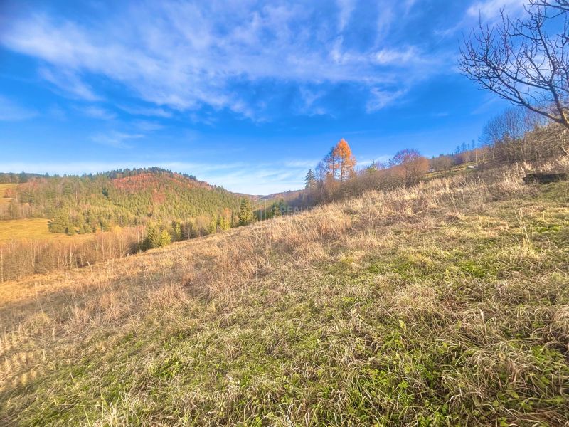 Sale Land – for living, Land – for living, Oščadnica, Čadca, Slovakia