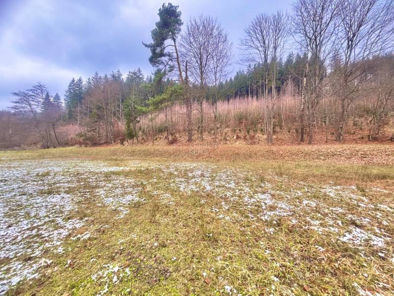 Sale Land – for living, Land – for living, Čierne, Čadca, Slovakia