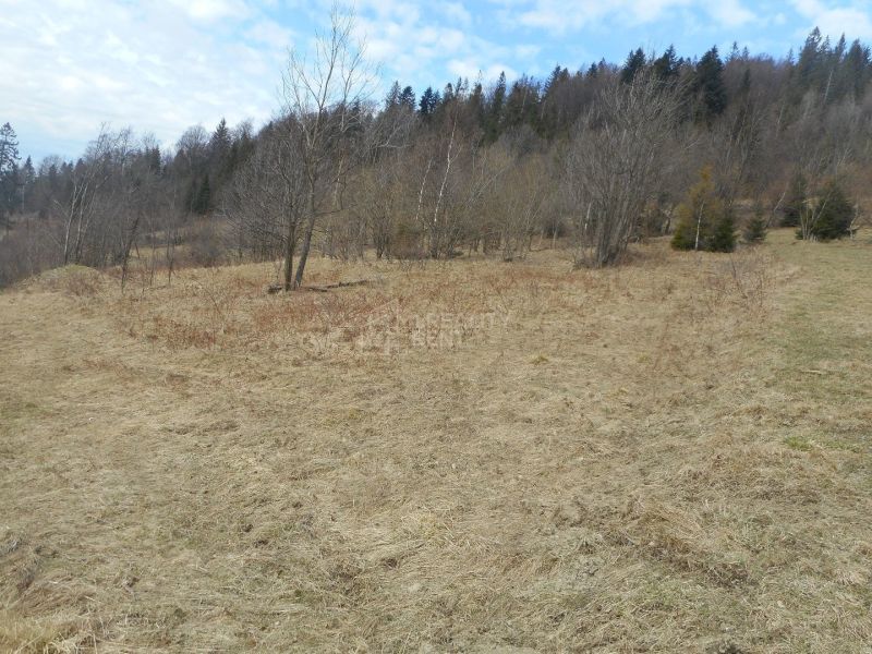 Sale Recreational land, Recreational land, Zádedová, Čadca, Slovakia