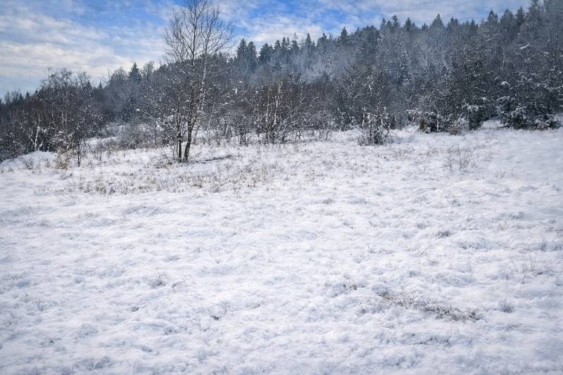 Sale Recreational land, Recreational land, Zádedová, Čadca, Slovakia