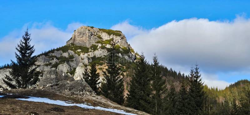 Sale Holiday apartment, Holiday apartment, Vrátna, Žilina, Slovakia