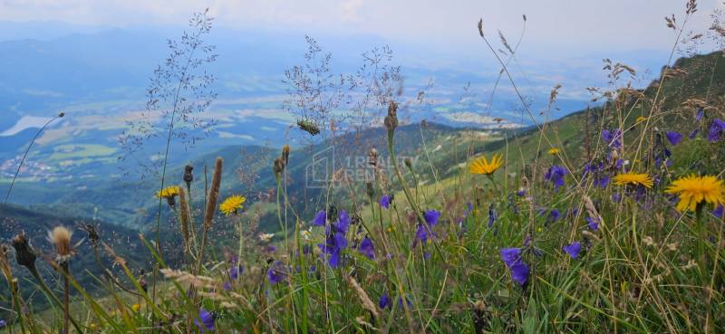 Sale Holiday apartment, Holiday apartment, Vrátna, Žilina, Slovakia