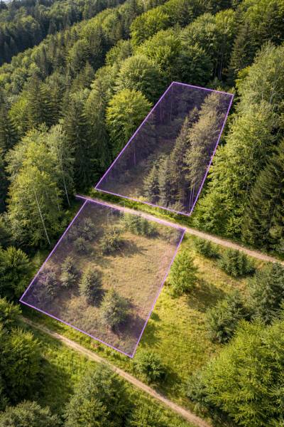 Sale Agrarian and forest land, Agrarian and forest land, Kosárky, Čadc