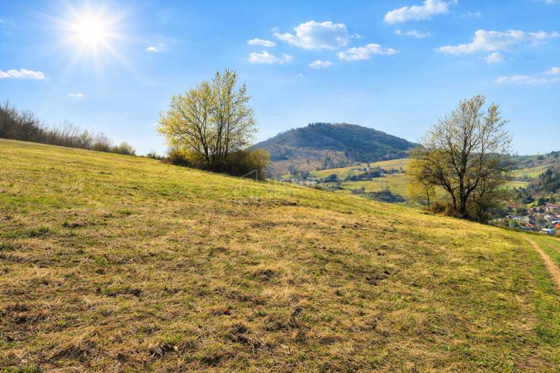 Sale Agrarian and forest land, Agrarian and forest land, Kotrčiná Lúčk