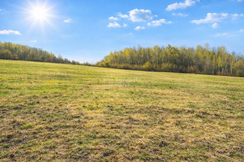 Sale Agrarian and forest land, Agrarian and forest land, Kotrčiná Lúčk