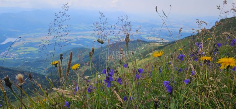 Sale Holiday apartment, Holiday apartment, Vrátna, Žilina, Slovakia