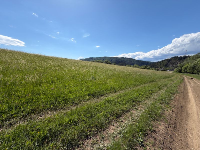 Sale Land – for living, Land – for living, Žilina, Slovakia