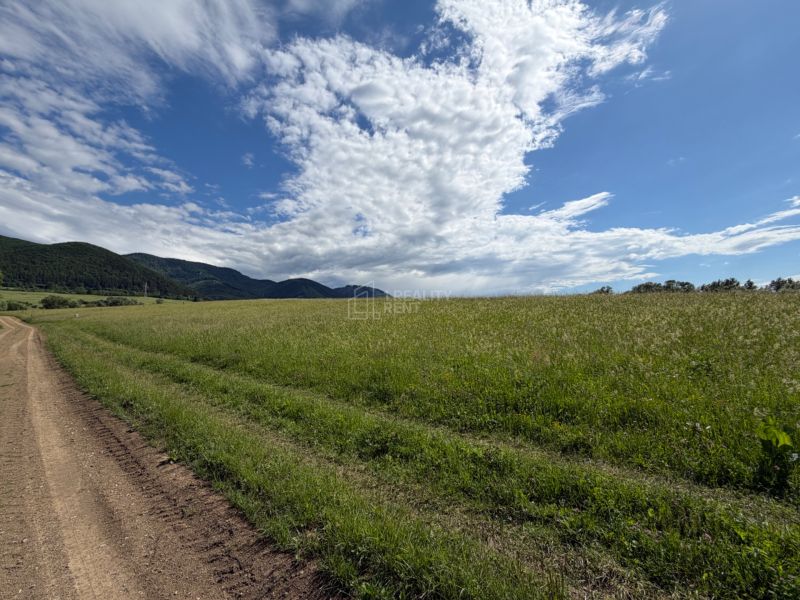 Sale Land – for living, Land – for living, Žilina, Slovakia