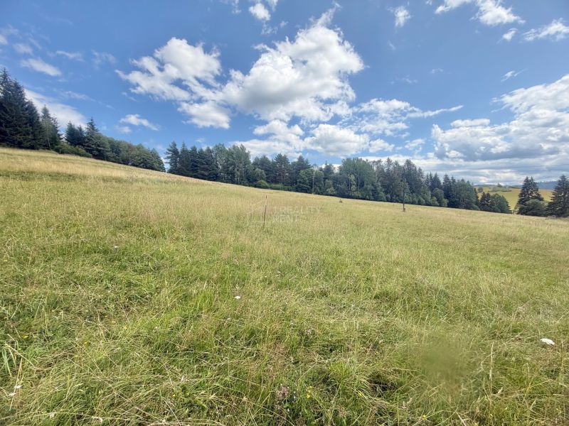 Sale Land – for living, Land – for living, Trstená, Čadca, Slovakia