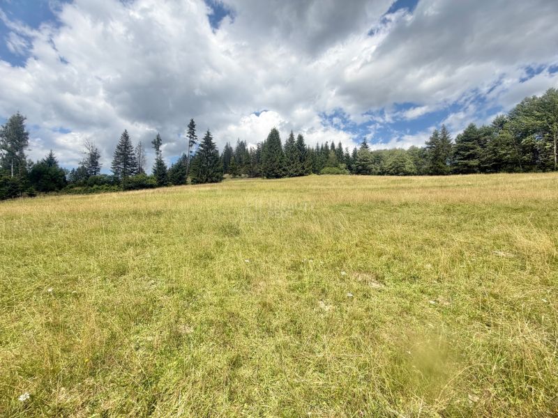 Sale Land – for living, Land – for living, Trstená, Čadca, Slovakia