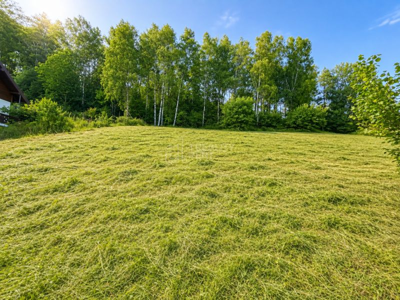 Sale Land – for living, Land – for living, Bukov, Čadca, Slovakia