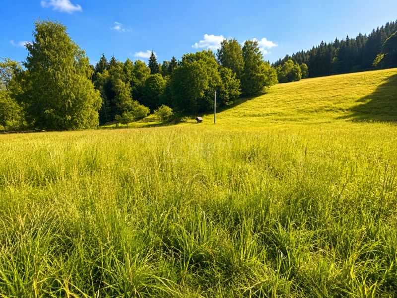 Sale Land – for living, Land – for living, Kopanice, Čadca, Slovakia