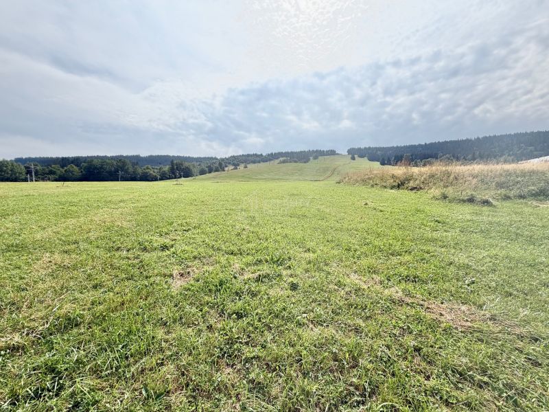 Sale Land – for living, Land – for living, Čierne, Čadca, Slovakia