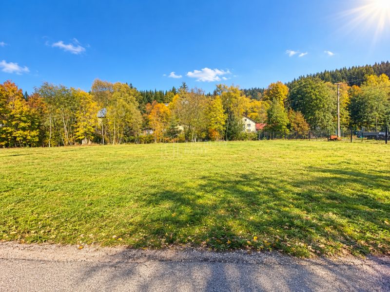Sale of land for construction in Turzovka-Predmier